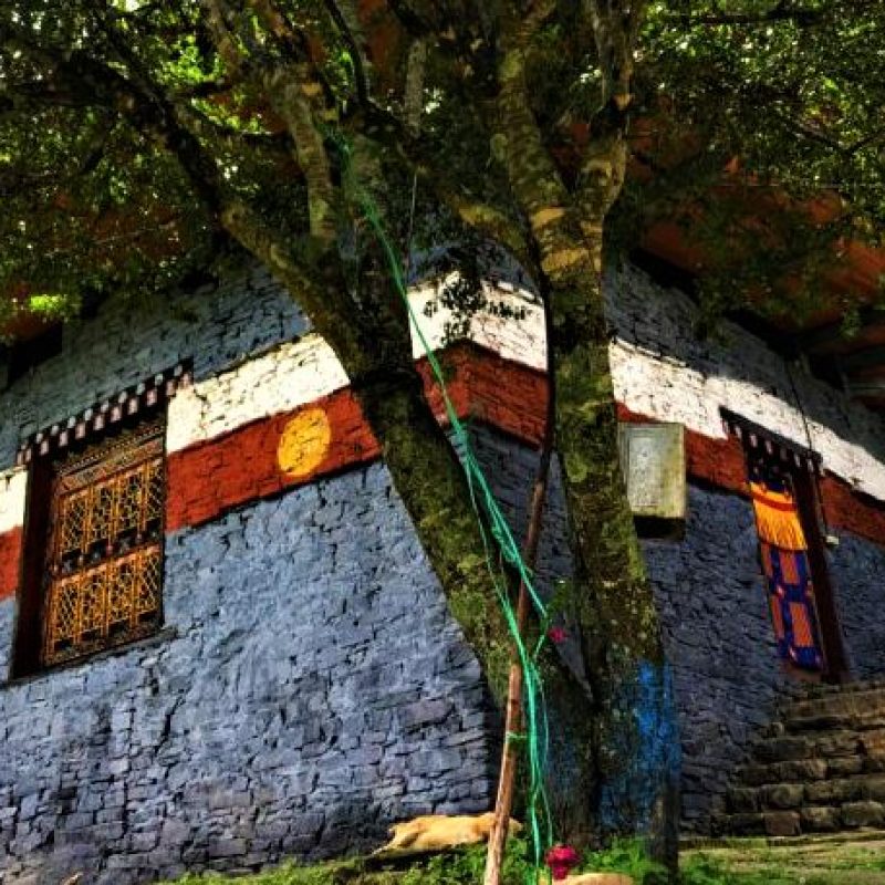 Lhakhang-Nagpo-Haa