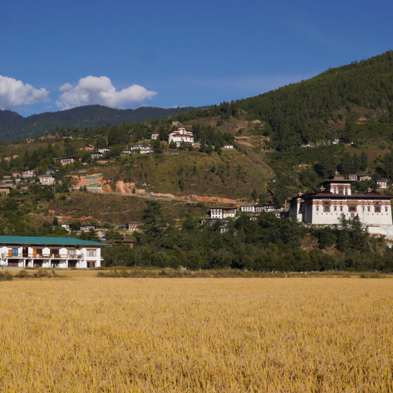 Paro Dzong