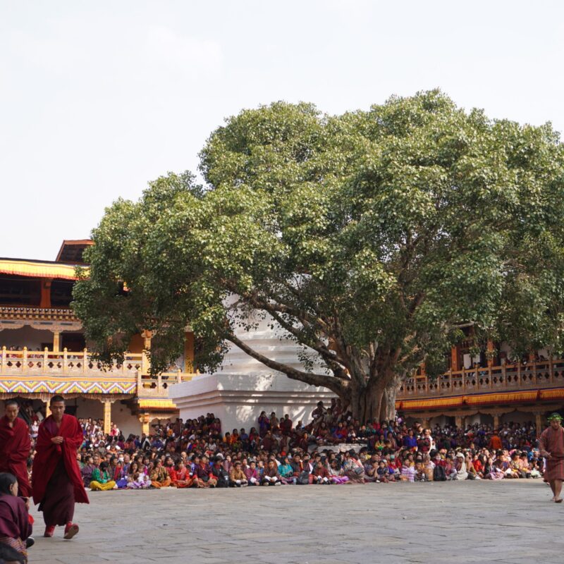 Punakha Dzong, Punakha Bhutan