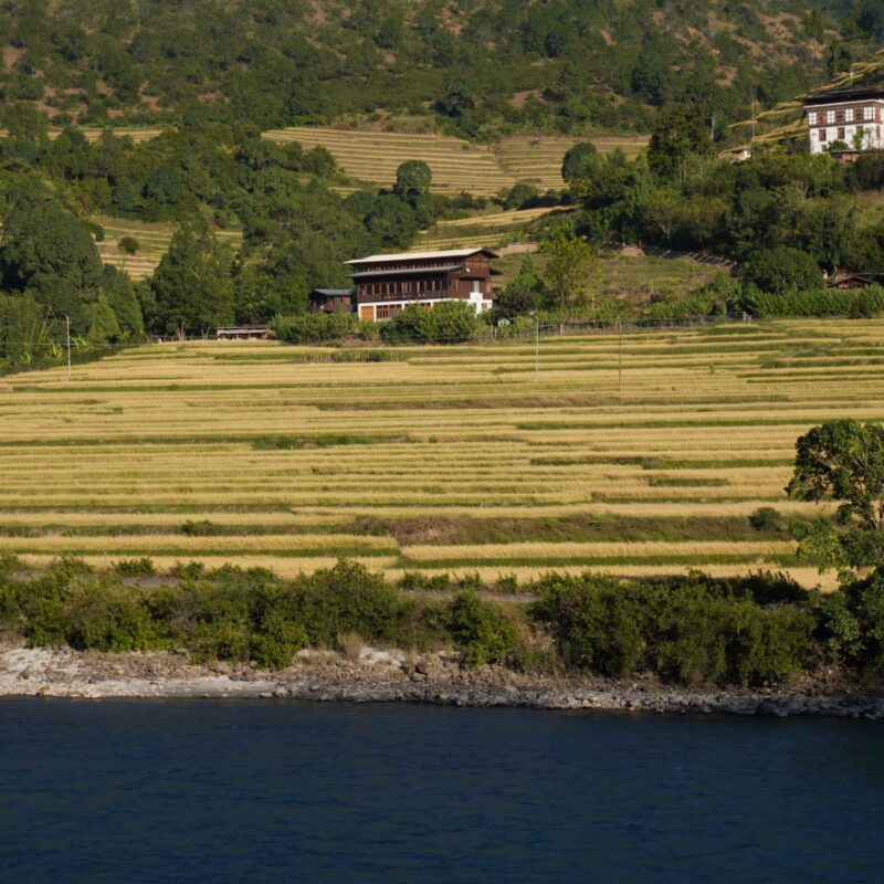 Punakha Valley