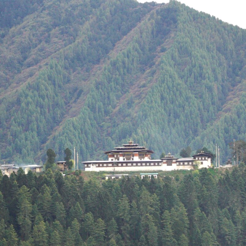 Phujikha & Gangtey