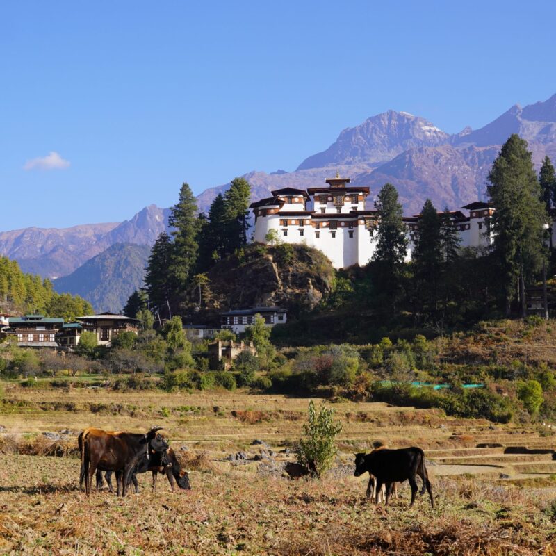 Drukgyel Dzong