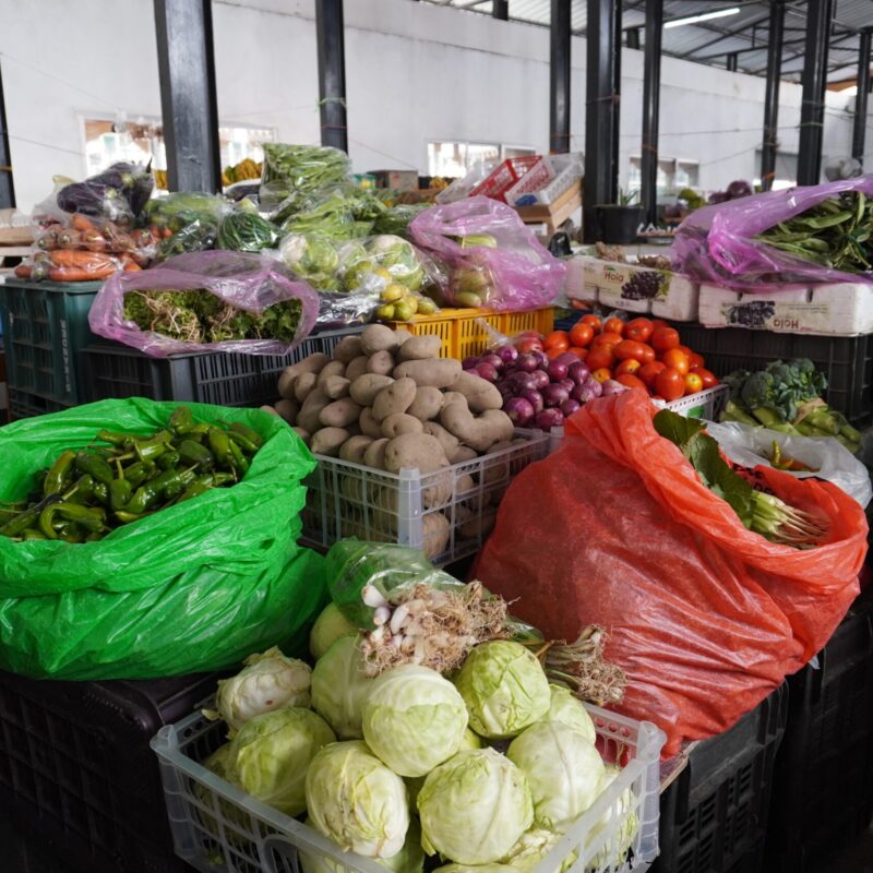 Vegetable Centenary Farmers Market