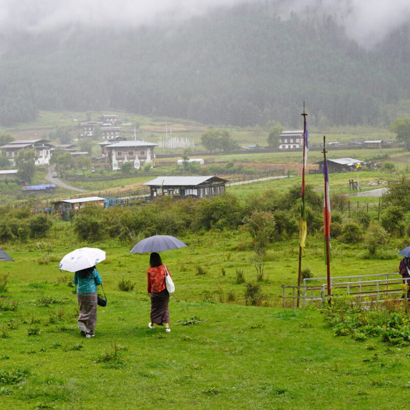 Phujikha & Gangtey