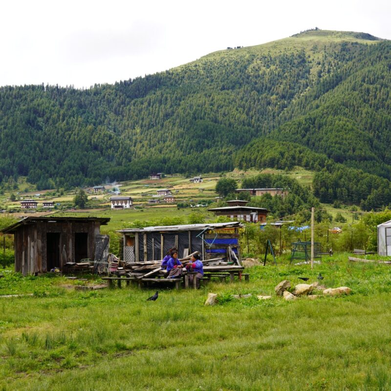 Phujikha & Gangtey