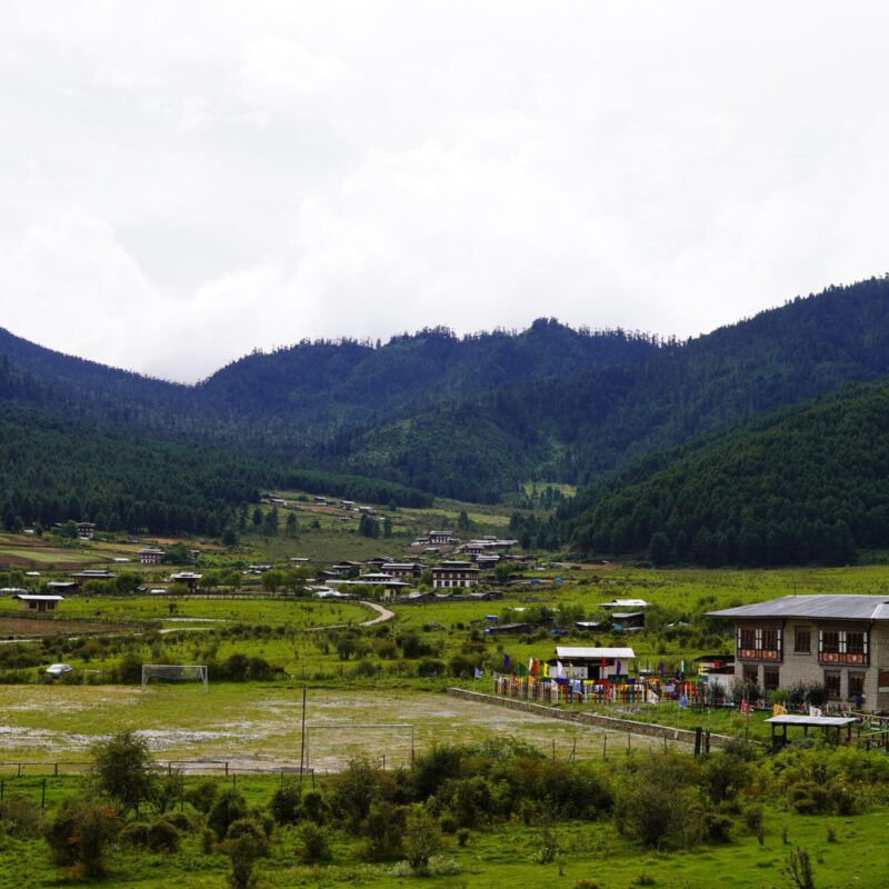 Phujikha & Gangtey