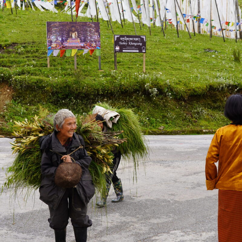 Phujikha & Gangtey