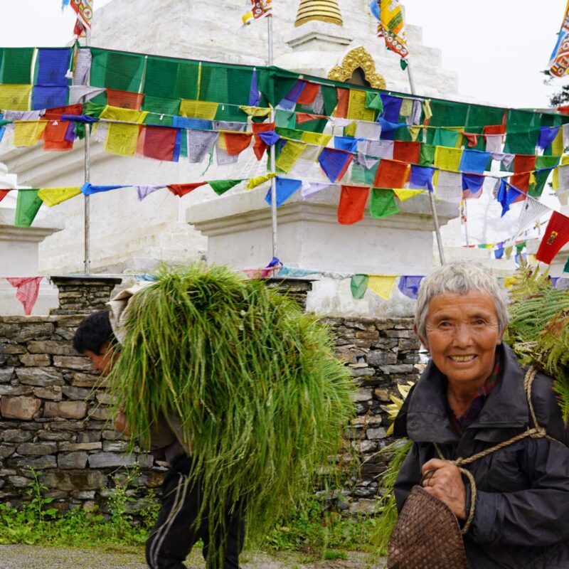 Gangtey & Phubjikha